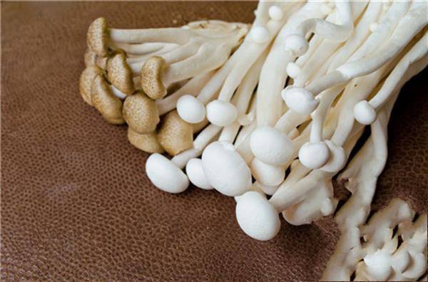 金针菇是酸性还是碱性