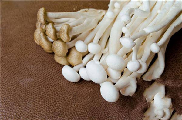 金针菇和韭菜能一起吃吗