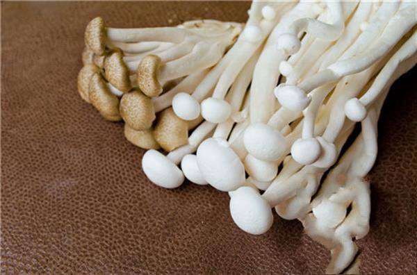 金针菇冷藏能放多久