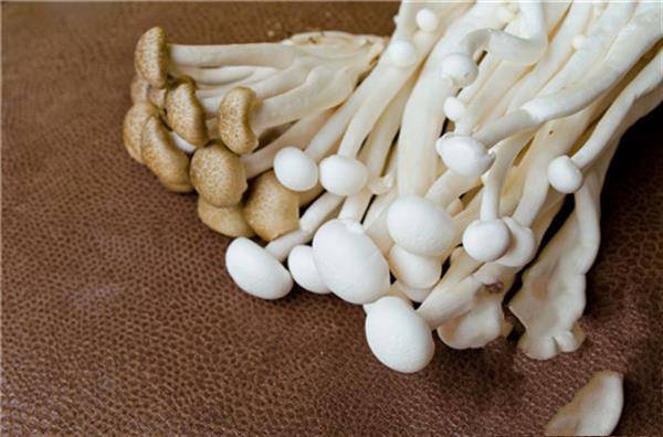 金针菇可以隔夜吃吗