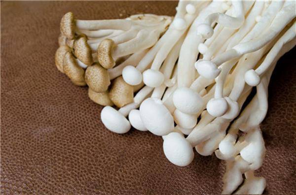 金针菇可以放冰箱放多少天