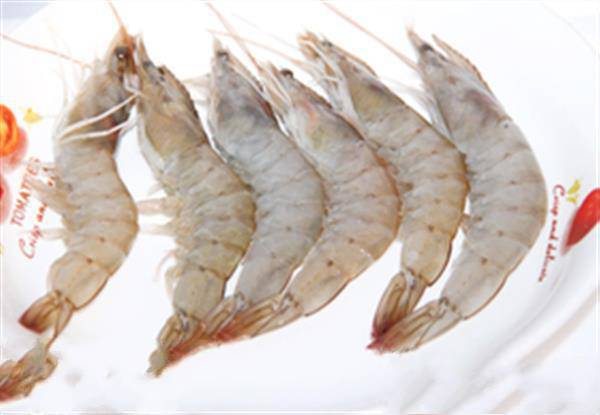 青虾多少钱一斤?活青虾多少钱一斤?