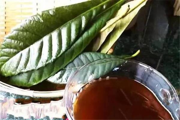 枇杷叶对胃部有刺激吗 枇杷叶能治胃病吗
